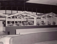 Rollercade Interior